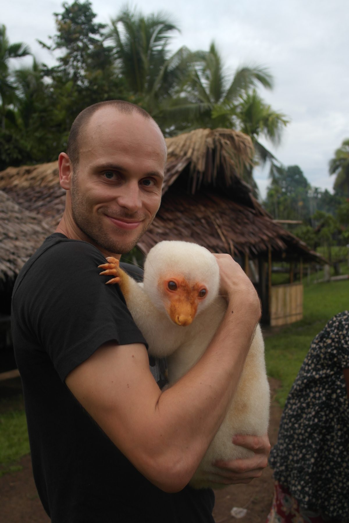 12 WILD Facts About The Cuscus Animal of Australia! | Cuscus papua new guinea e1671685105285 12 WILD Facts About The Cuscus Animal of Australia!