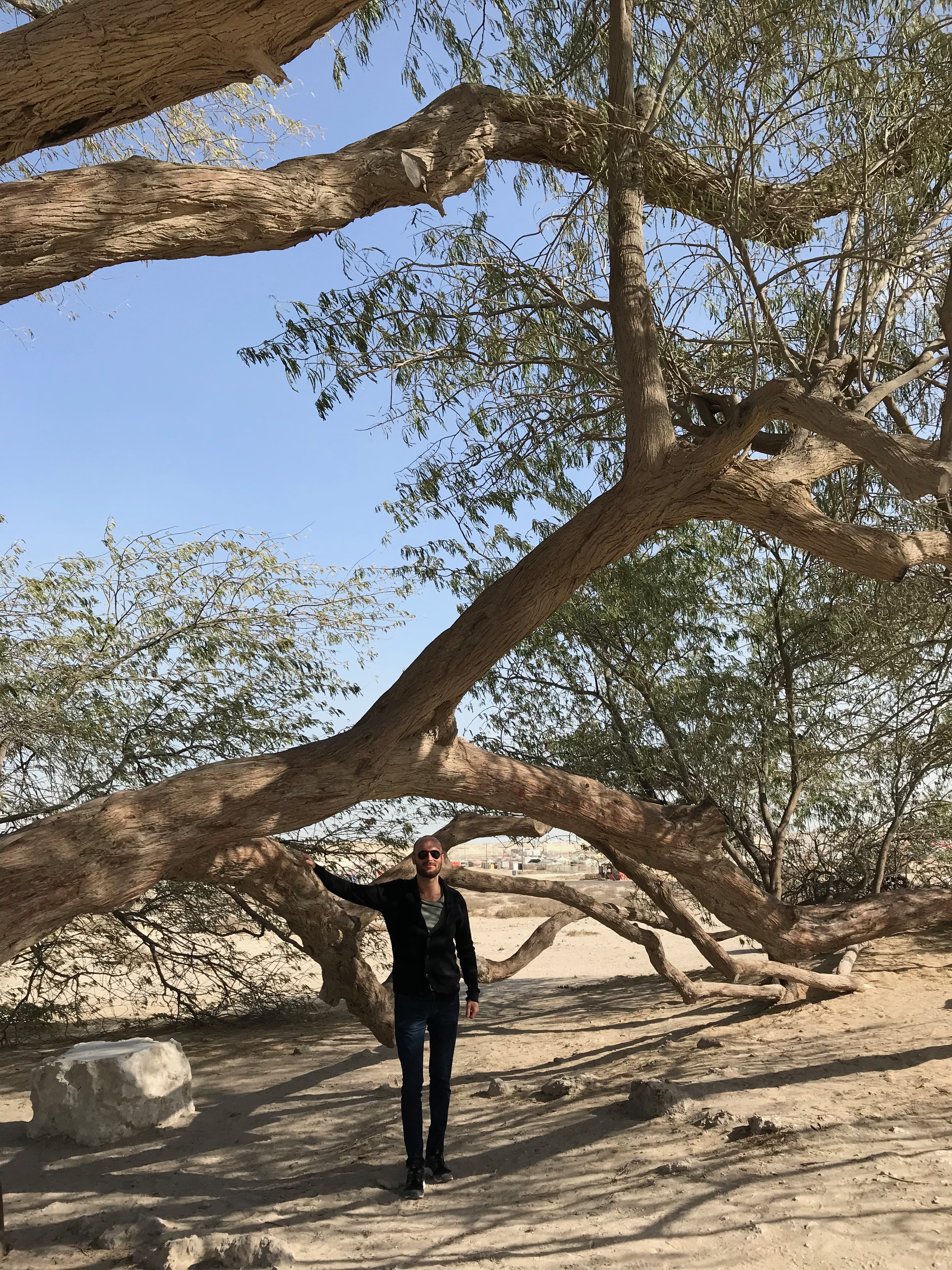 The Tree Of Life: Bahrain's Greatest 400-year-old Mystery | tree of life bahrain 1 1 The Tree Of Life: Bahrain’s Greatest 400-year-old Mystery