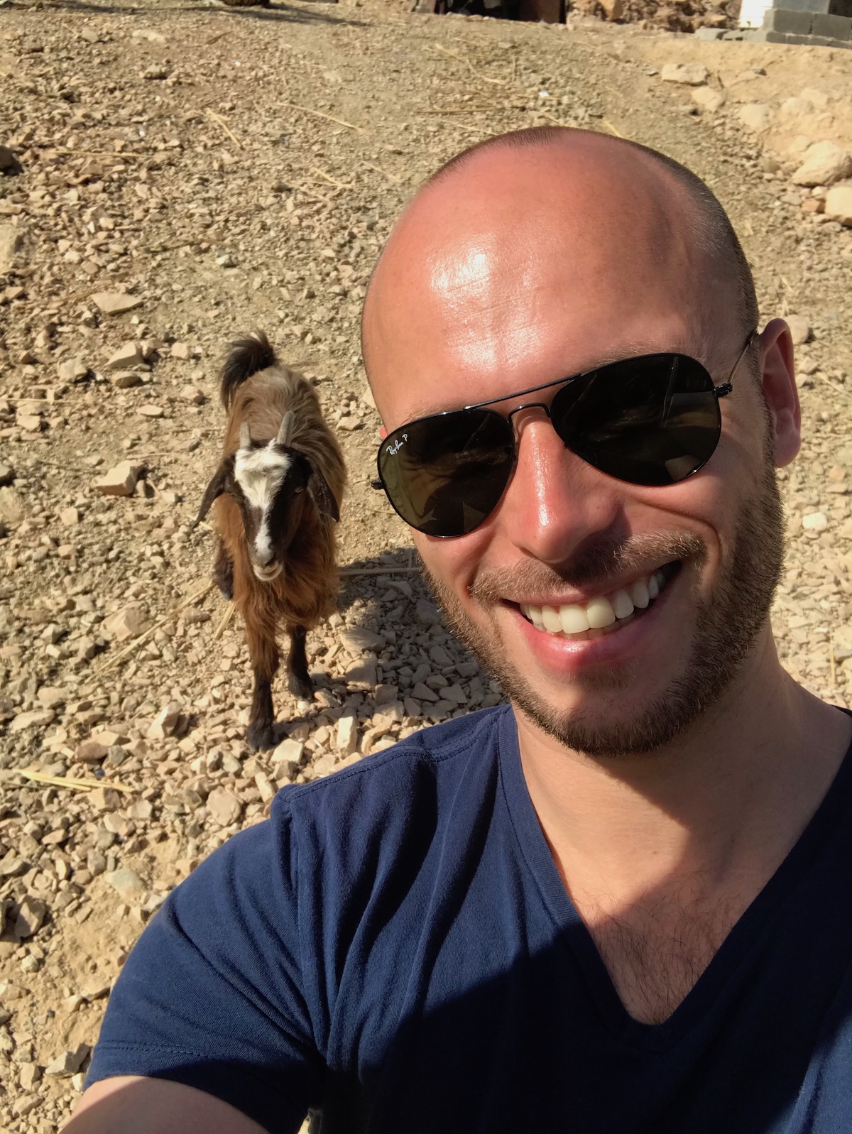 My 2018 in Review: Failures, struggles & how to improve next year | How I did 2018 Review Oman Goatfie goals in Oman.