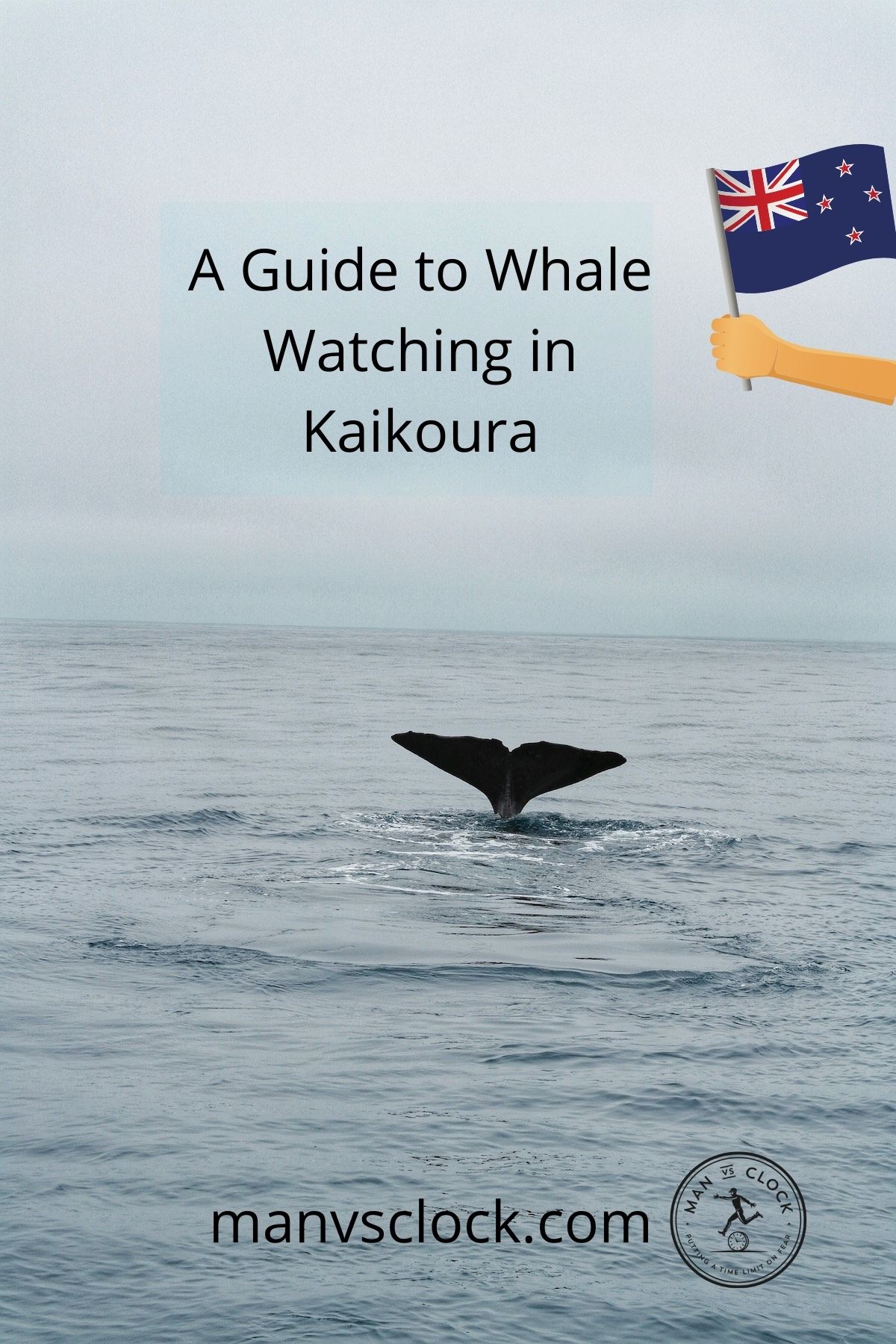Whale Watching in Kaikoura: Tips, Prices & Best Time To Go | whale watching kaikoura guide 1 A whale shows off its tail in the ocean