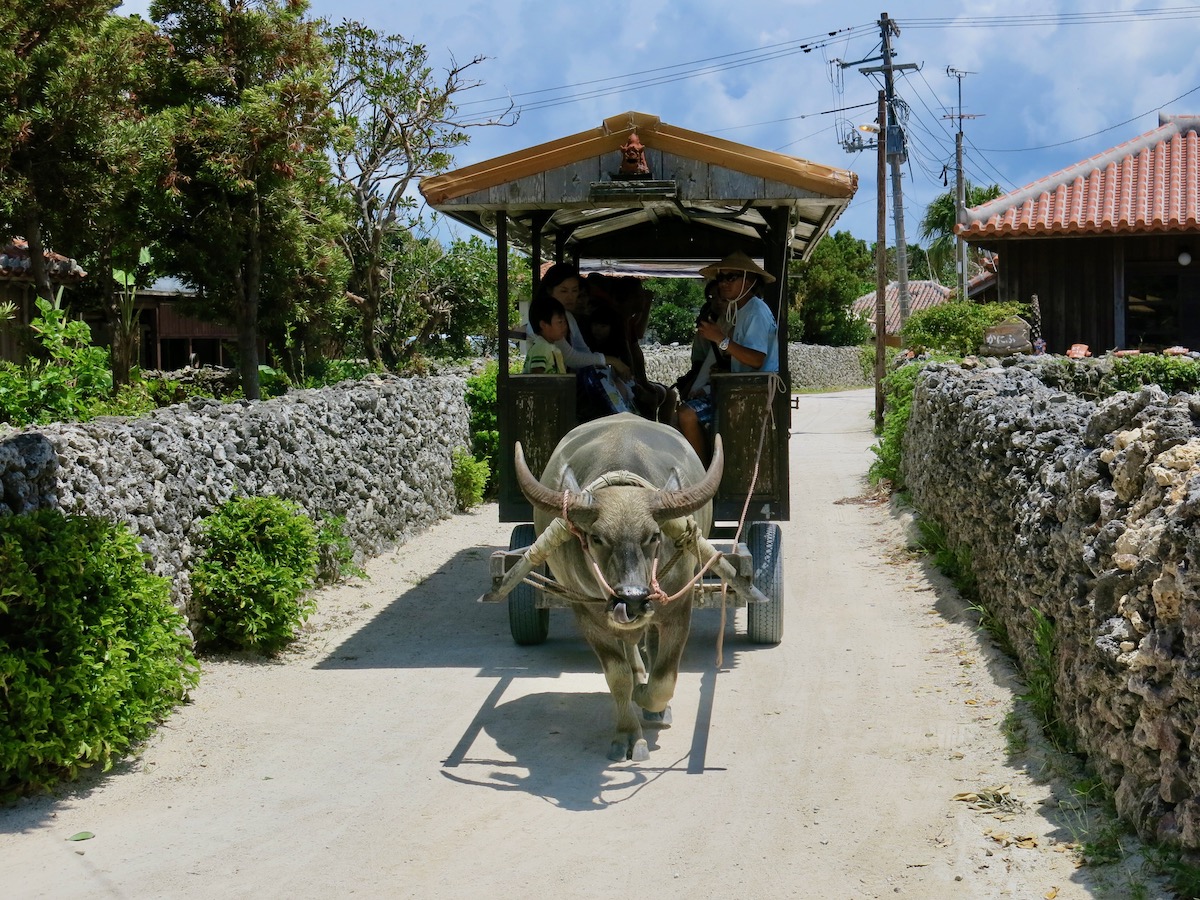 Blissful Okinawa Itinerary: 1 Week in Okinawa Prefecture | okinawa itinerary Blissful Okinawa Itinerary: 1 Week in Okinawa Prefecture