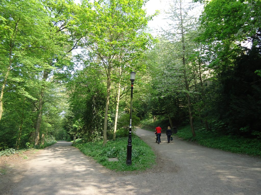 Did C.S. Lewis Base Narnia on a Small UK City (Durham?) | durham lamppost narnia durham lamppost narnia