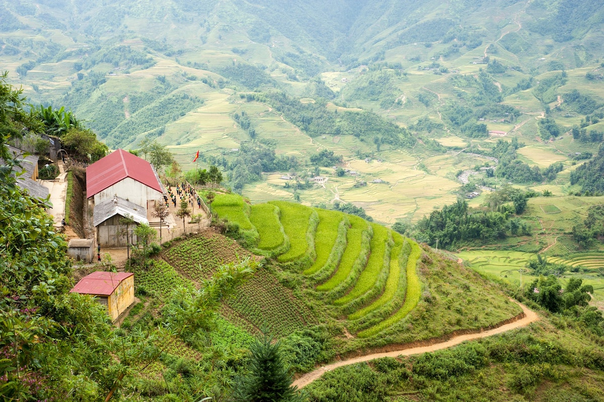 Driving A Motorbike in Vietnam: Tips & Detailed 2024 Guide | Vietnam rice paddies Beautiful rice paddies in Vietnam during the day