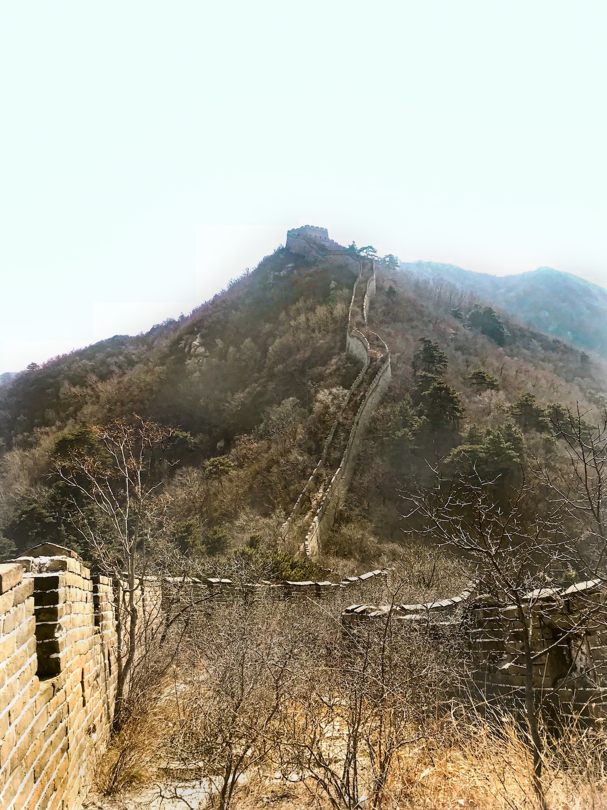 Best Place To See Great Wall of China (No Crowds, No Worries!) | Wild Great Wall of China Mutianyu A steep large bridged wall with overgrown trees and fauna at The Great Wall of China.