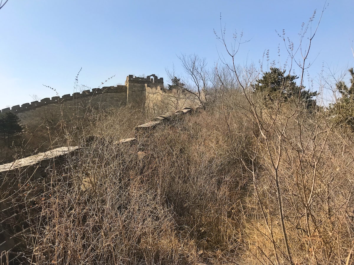 Best Place To See Great Wall of China (No Crowds, No Worries!) | Wild Great Wall of China Overgrown trees near a large wall in Beijing, China.