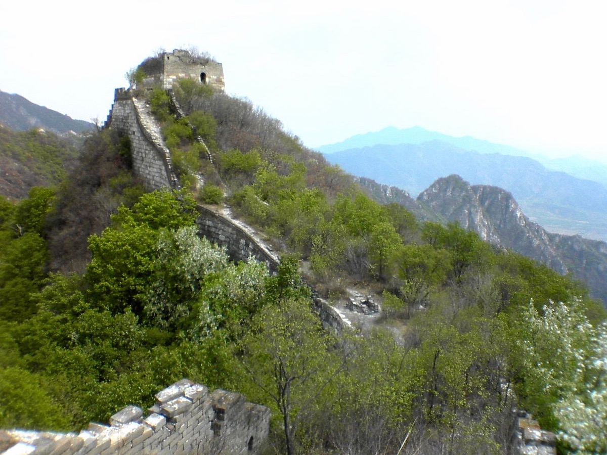 Best Place To See Great Wall of China (No Crowds, No Worries!) | Jiankou 2 Lush green trees grow out of the Great Wall of China.