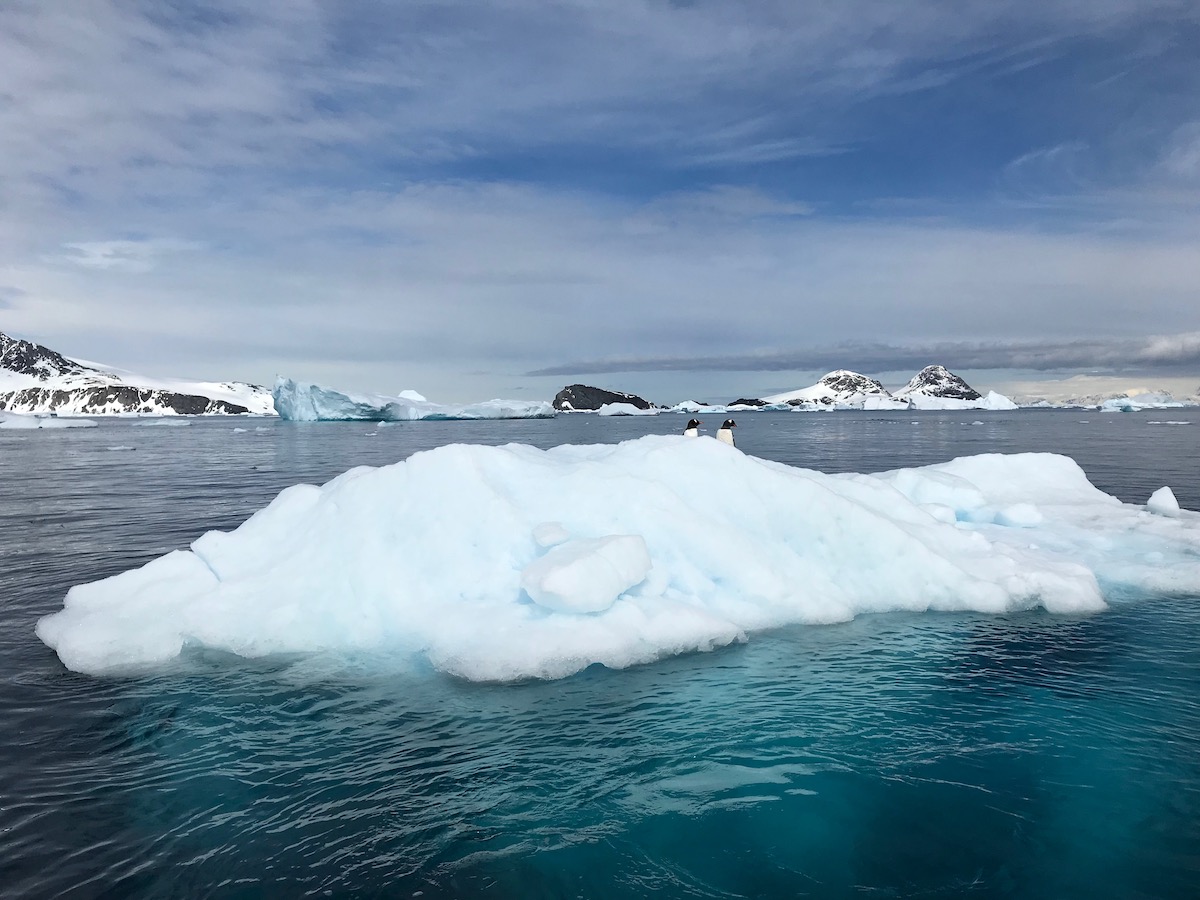 What To Expect on Your First Trip To Antarctica | Antarctica during the day Antartica during the day, 2 penguins on top of snow in the middle of the sea