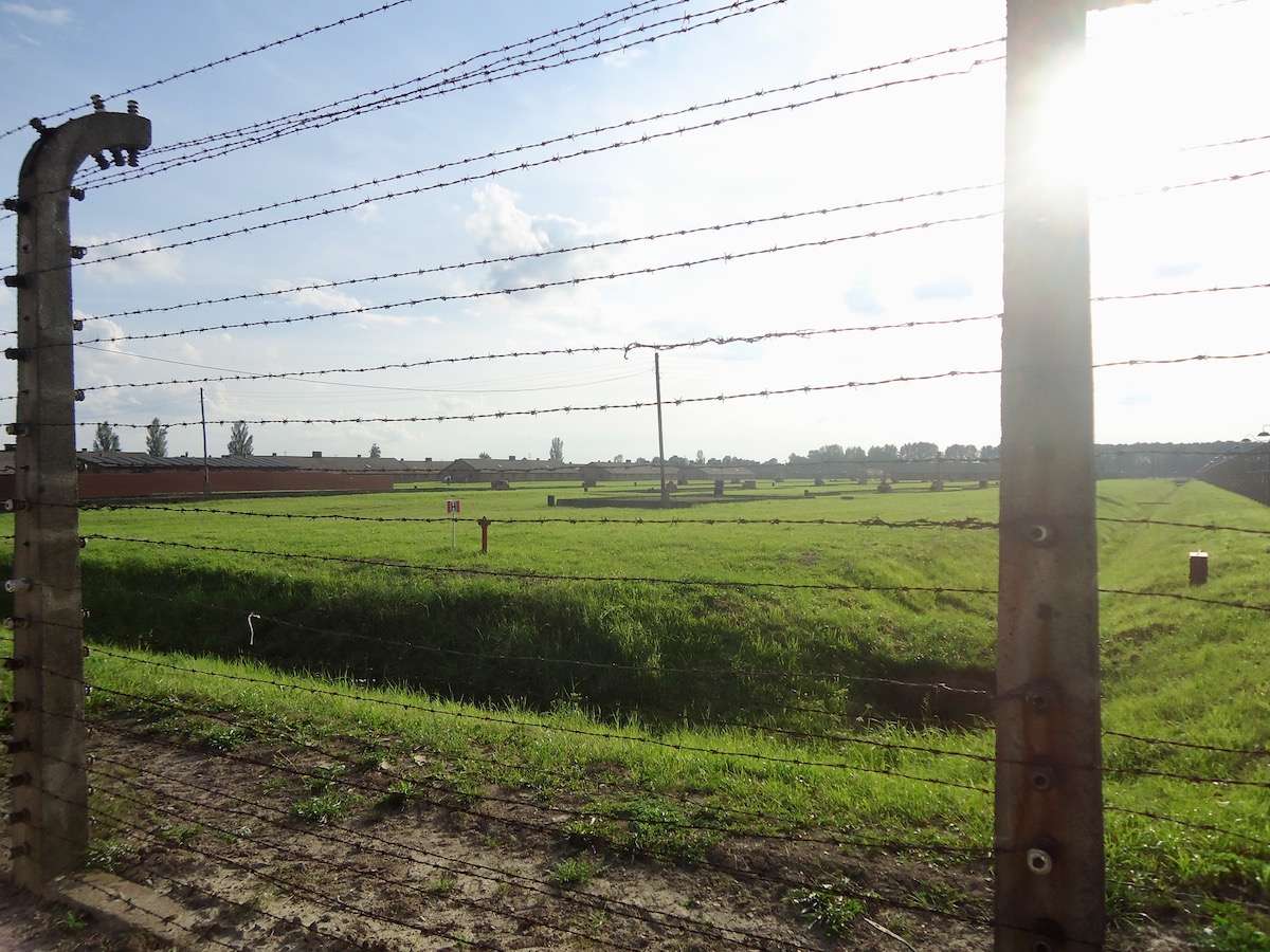 Visiting Auschwitz: All You Need To Know & What To Expect | Auschwitz Birkenau barbed wire A view of Auschwitz Birkenau from behind the barbed wire.