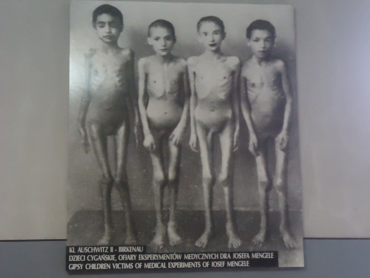 Visiting Auschwitz: All You Need To Know & What To Expect | Auschwitz Birkenau child victims Harrowing photos of child victims of Josef Mengele are shown at the Auschwitz Museum in Poland