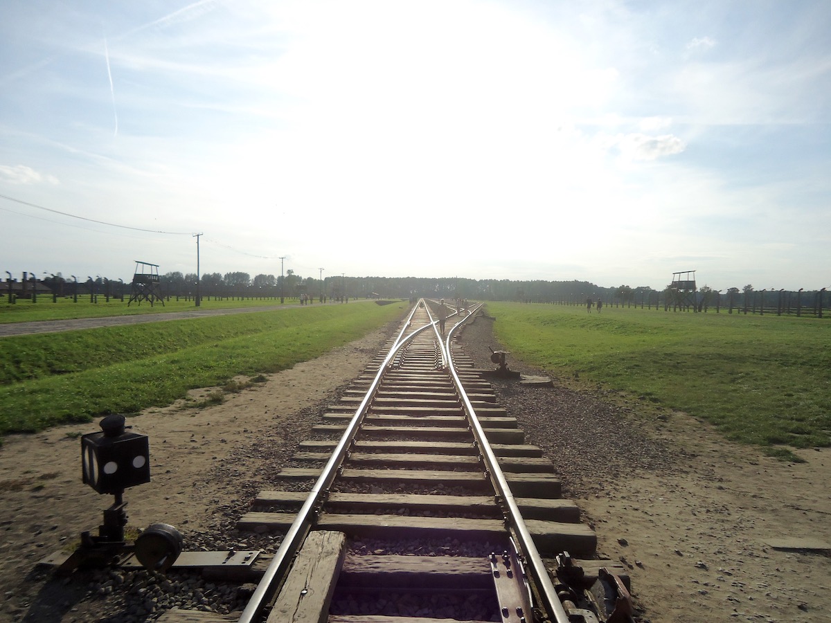 Visiting Auschwitz: All You Need To Know & What To Expect | Auschwitz railway track A long railway track with green on either side at Auschwitz Museum in Poland