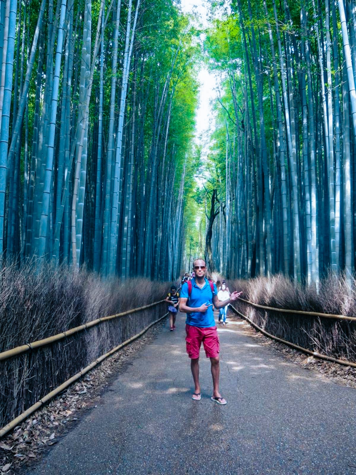 Tokyo or Kyoto: Which City Should You Visit? | Bamboo forest Kyoto vs Tokyo A tourist poses by the trees at Bamboo Forrest in Kyoto, Japan.