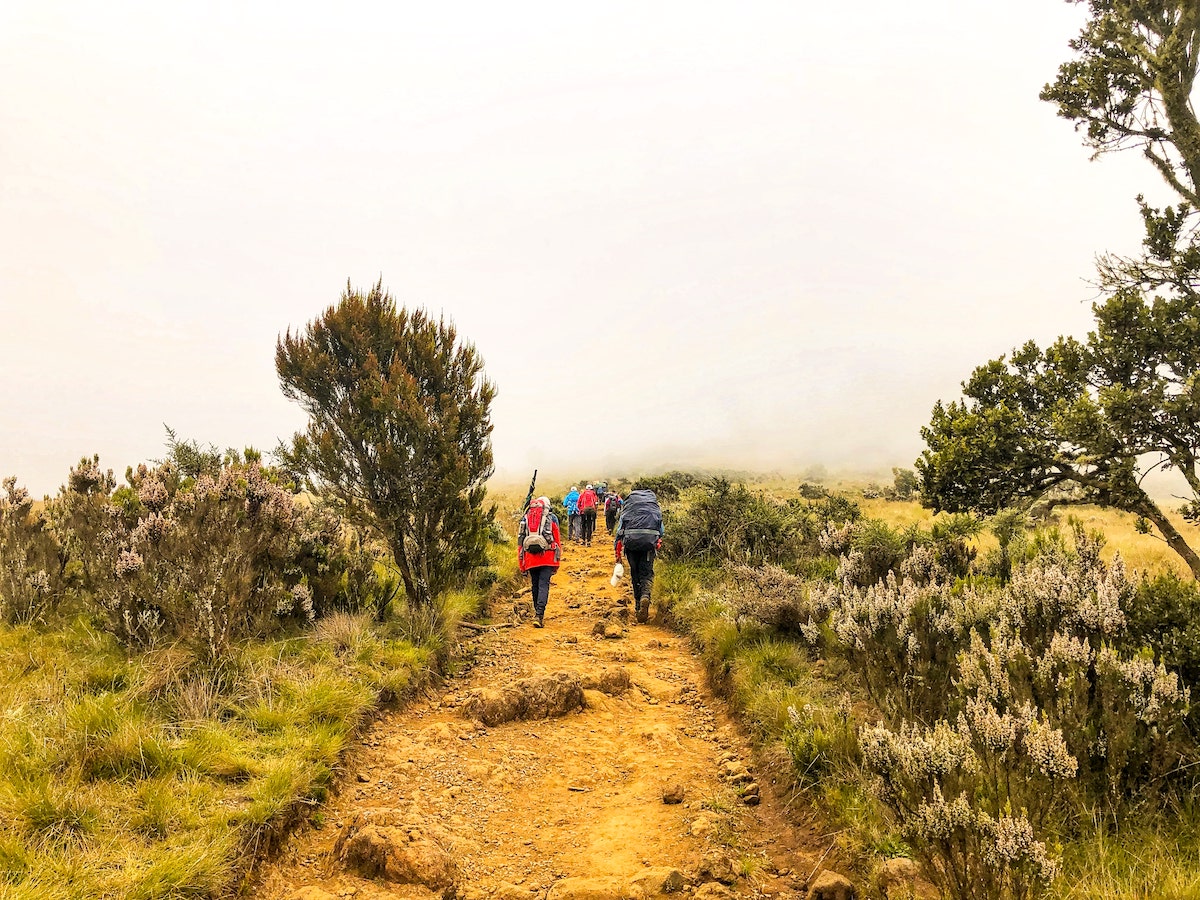 The Beginner's Guide To Climbing Mount Kilimanjaro | Climbing Kilimanjaro Hikers walk on an inclined path on a misty day.