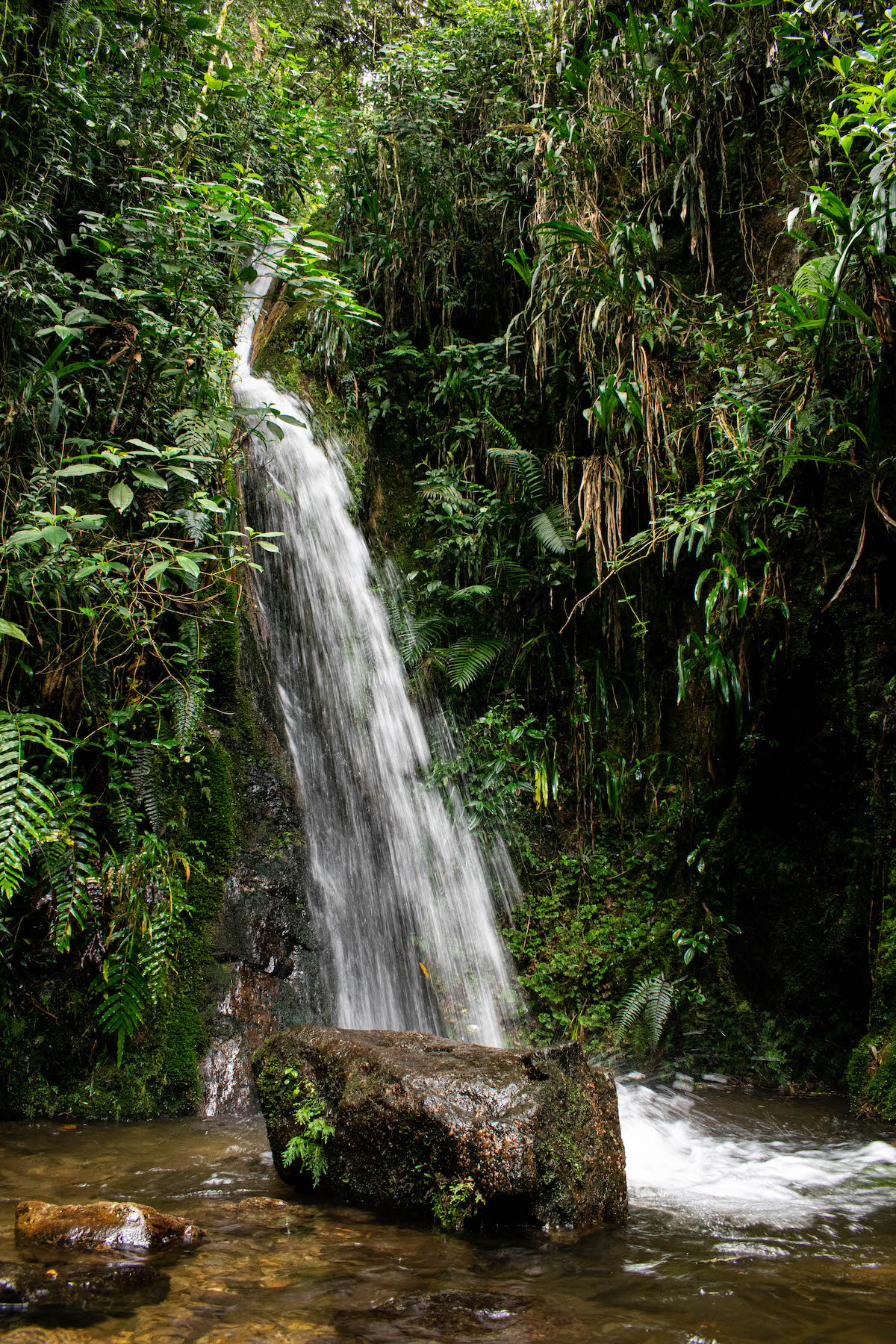 13 Brilliant Weekend & Day Trips From Medellin | Envigado Waterfall A small waterfall surrounded by greenery