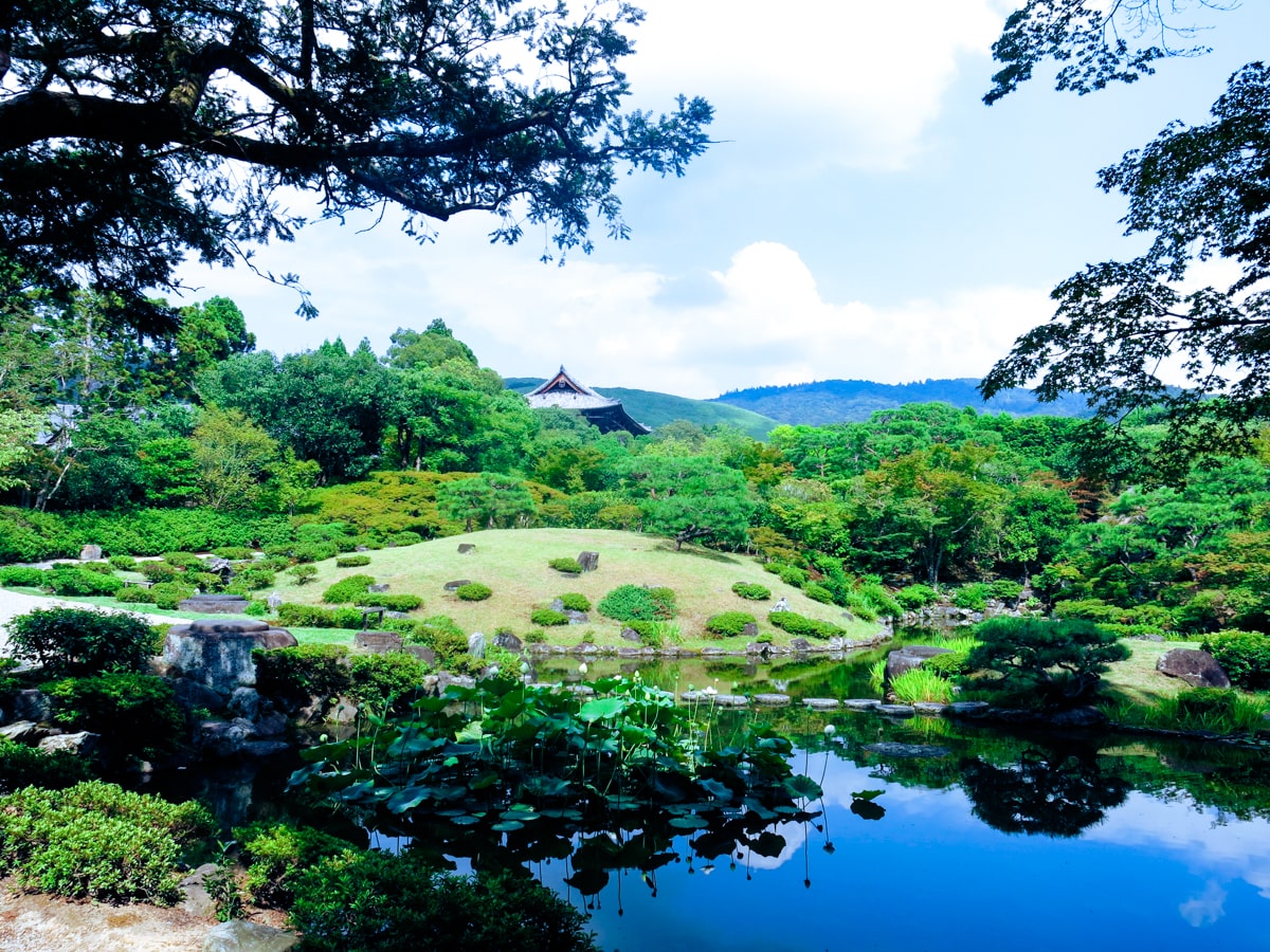 Feeding Deer in Nara, Japan That Bow! (Story & Guide) | Isuien garden Nara A beautiful botanical garden in Nara, Japan during the day