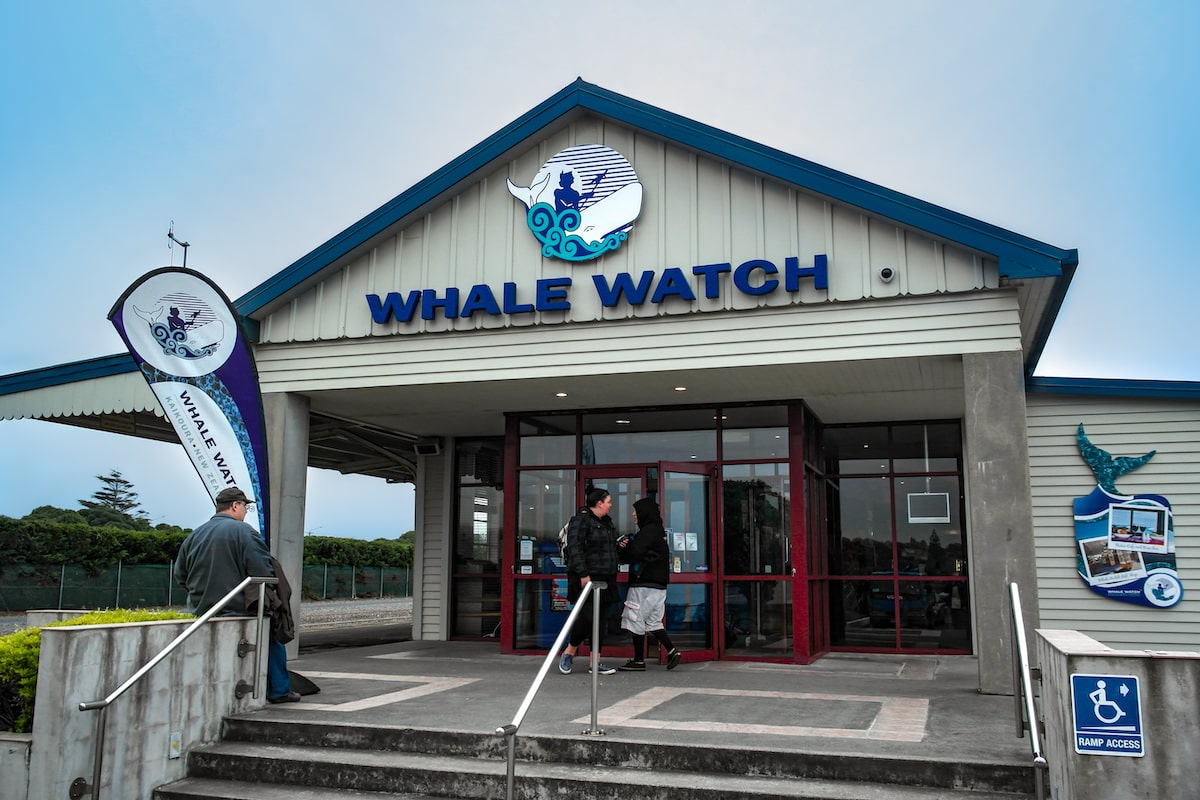 Whale Watching in Kaikoura: Tips, Prices & Best Time To Go | Kaikoura Whale Watching Entrance A sign for Whale Watching in Kaikoura, New Zealand
