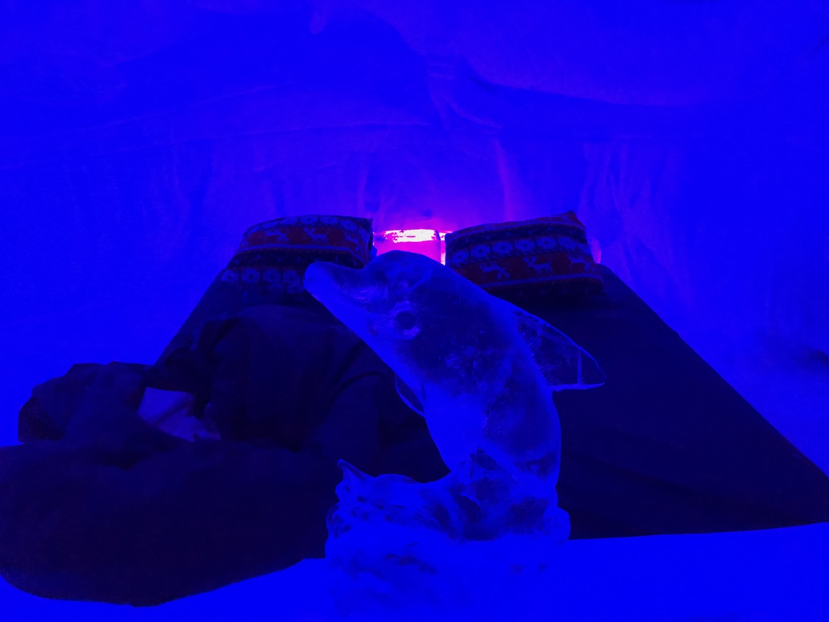 Staying in The Kirkenes Snow Hotel in Norway (Bucket List!) | Kirkenes Snow Hotel bedroom A dark blue-lit room with a bed and an ice sculpture of a dolphin.