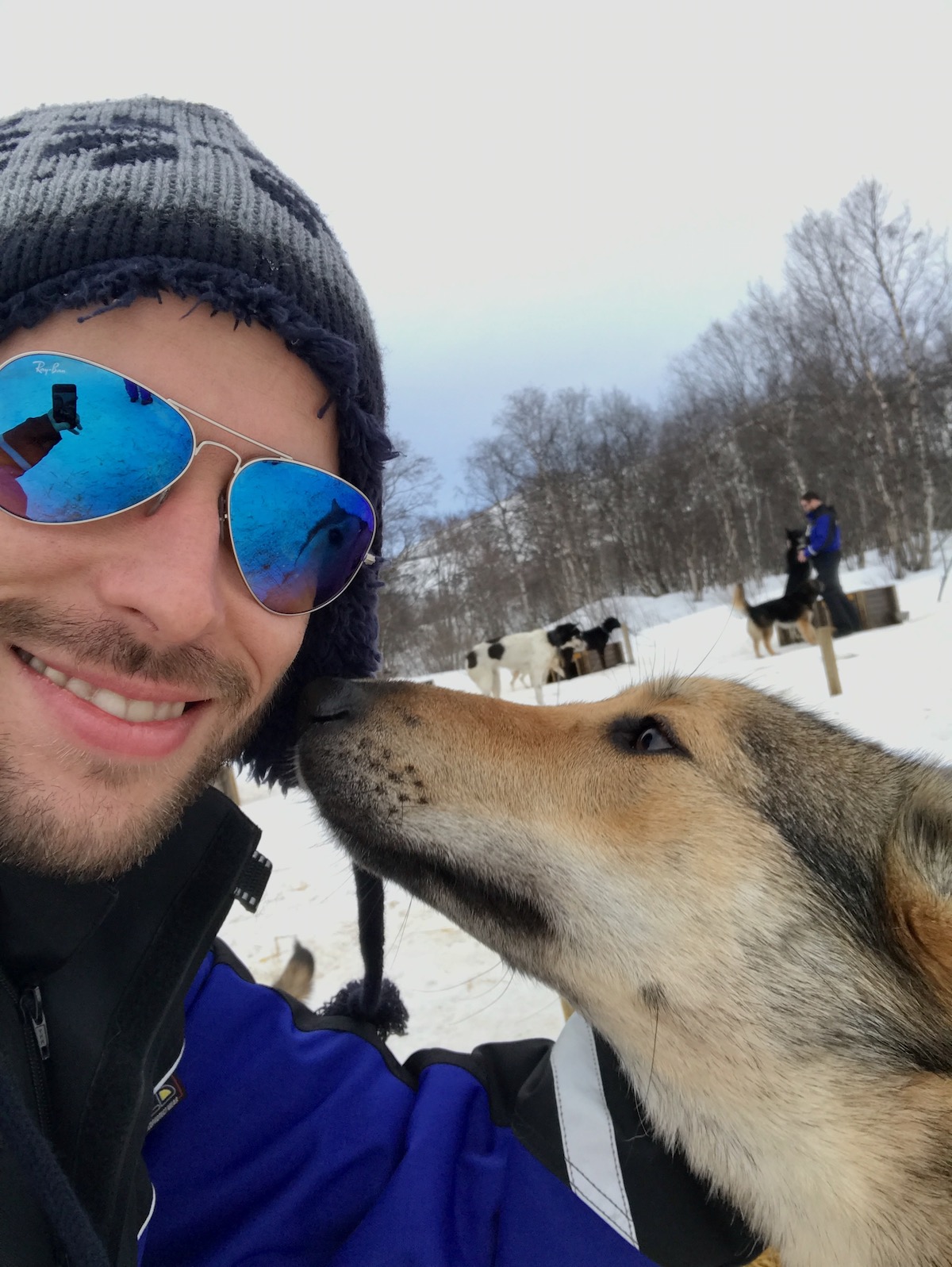 20 Brilliant Things To Do in Kirkenes (+ City Guide!) | Kirkenes Snow Hotel dogs Dog sniffs smiling man's face