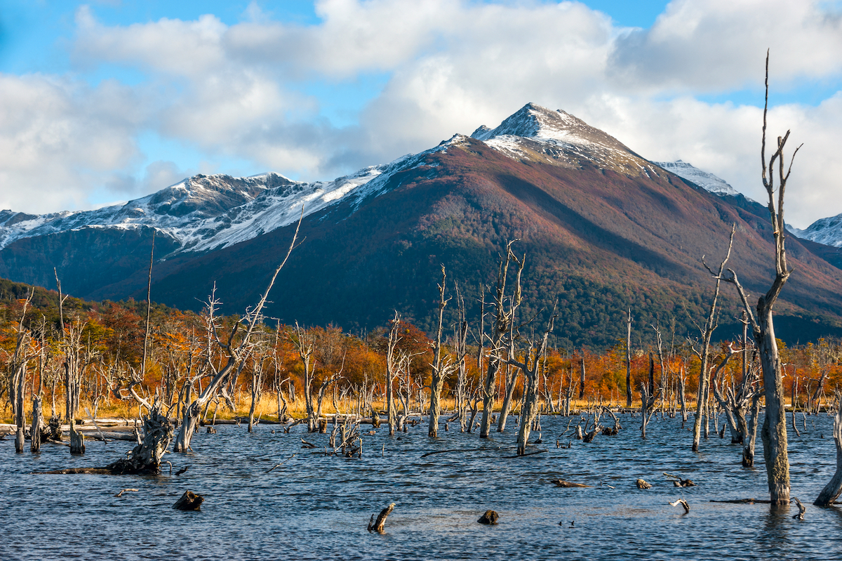 23 Best Things To Do in Ushuaia, Argentina | Lake Escondido Autumn in Patagonia. Lake Escondido in the middle of the Cordillera Darwin, part of Andes, Isla Grande de Tierra del Fuego, Argentina side