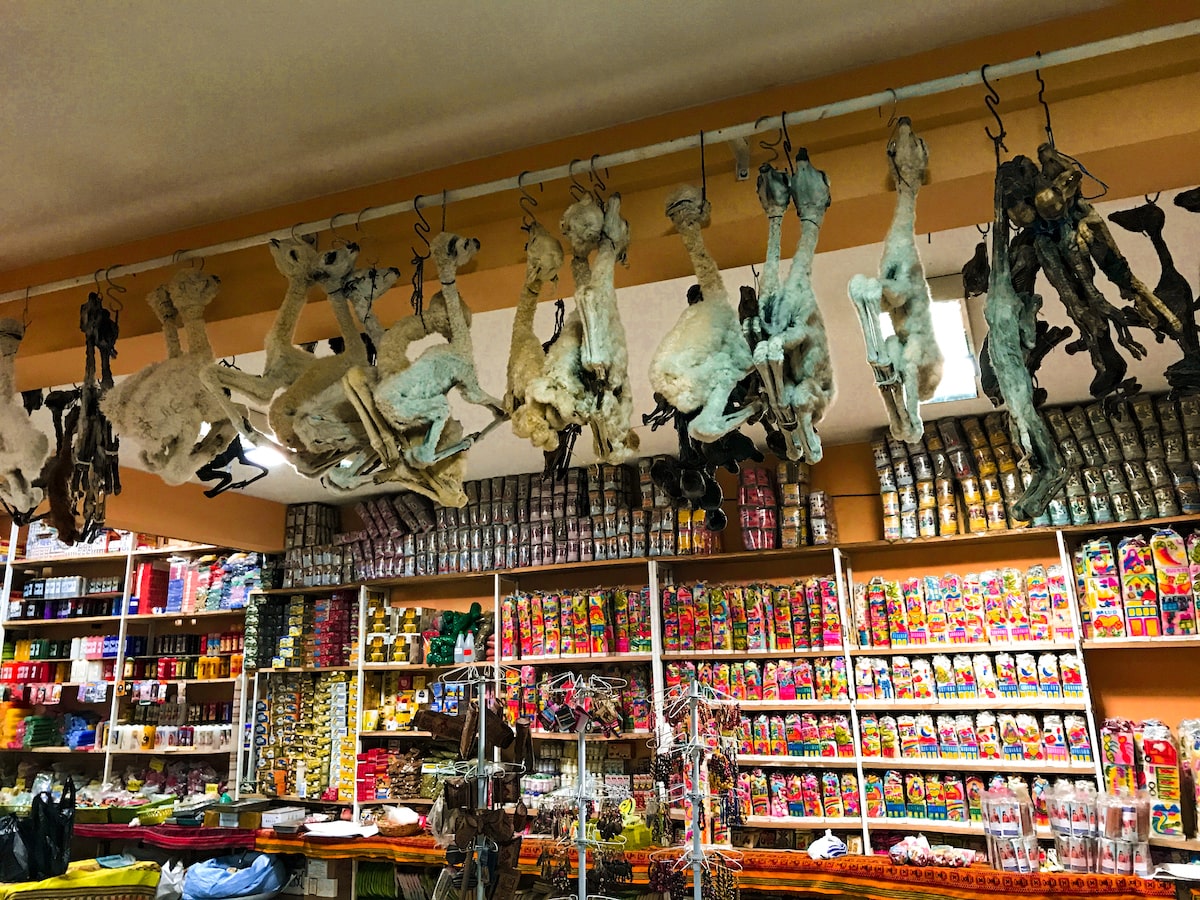 28 Best Things To Do in La Paz, Bolivia & Surrounding Areas | Lllama fetuses witches market La Paz Bolivia Llama fetuses hang from the ceiling of the Witches Market in La Paz, Bolivia.