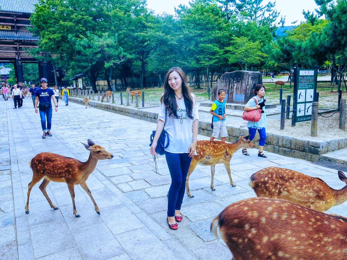 Feeding Deer in Nara, Japan That Bow! (Story & Guide) | Local woman with bowing Nara deer A Japanese lady nervously smiles as she is approaches by bowing deer in Nara Park