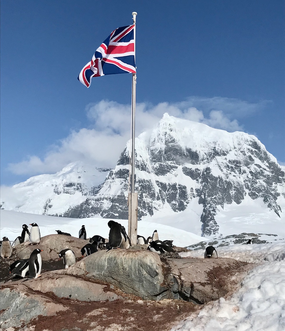 What To Expect on Your First Trip To Antarctica | Port Lockroy Antarctica The Union Jack flag flaps in front of a snowy landscape surrounded by penguins in Port Lockroy, Antarctica