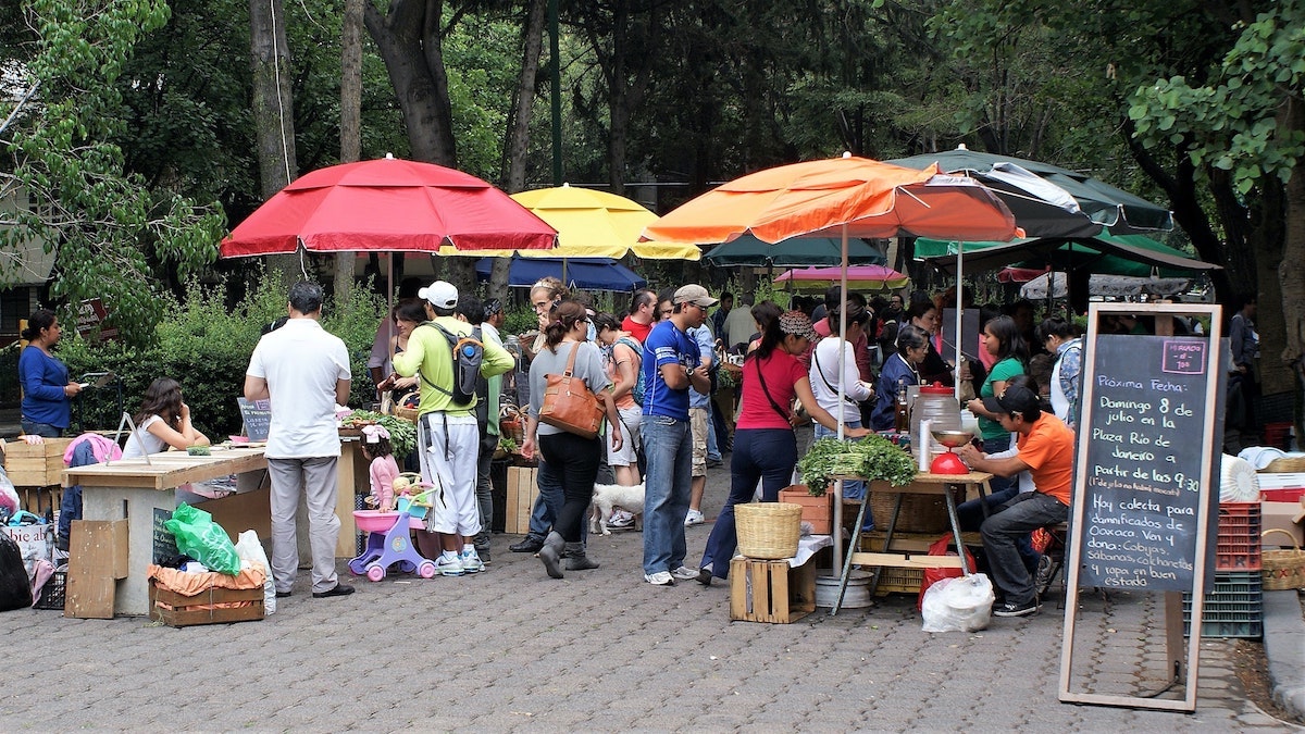 Detailed Digital Nomad Mexico City Guide For 2024 | Roma Norte market People gathering under colourful large umbrellas in a street market in Roma Norte in Mexico City.