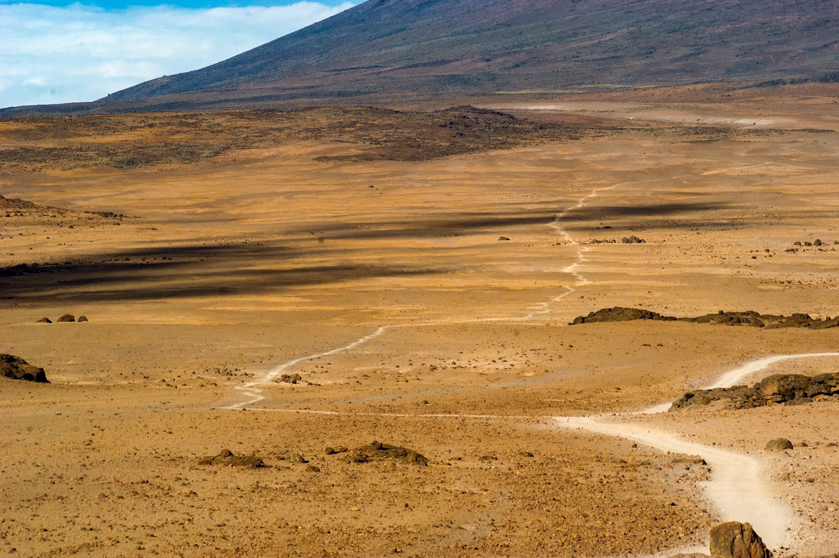 The Beginner's Guide To Climbing Mount Kilimanjaro | Rongai Route Kili A desolate trail on a mountain.