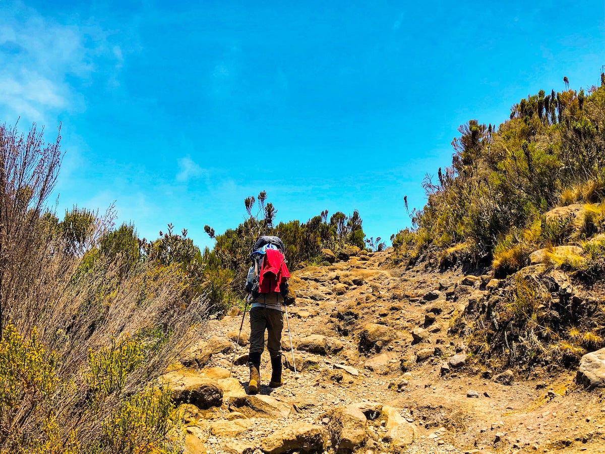 The Beginner's Guide To Climbing Mount Kilimanjaro | Route to Kilmanjaro A hiker walks slowly up a bumpy path with walking poles and a large backpack.