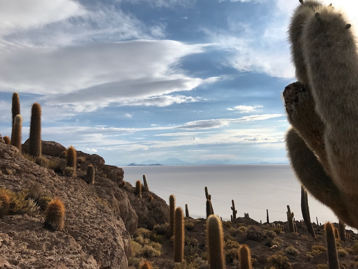 Visiting Salar de Uyuni in Bolivia: All You Need To Know | bolivia desert Cactus trees overlooking a white desert in Bolivia.