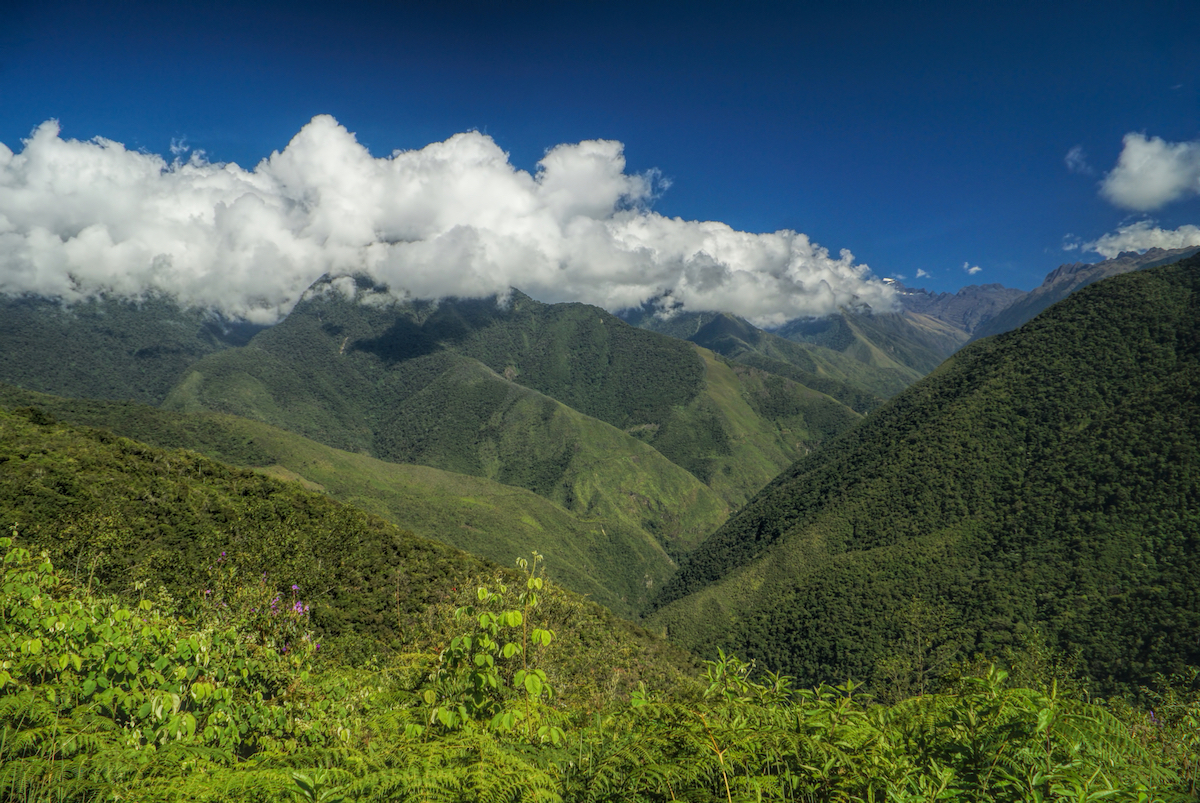 28 Best Things To Do in La Paz, Bolivia & Surrounding Areas | el choro trail a lush green valley of hills on a cloudy blue sky day in La Paz, Bolivia.
