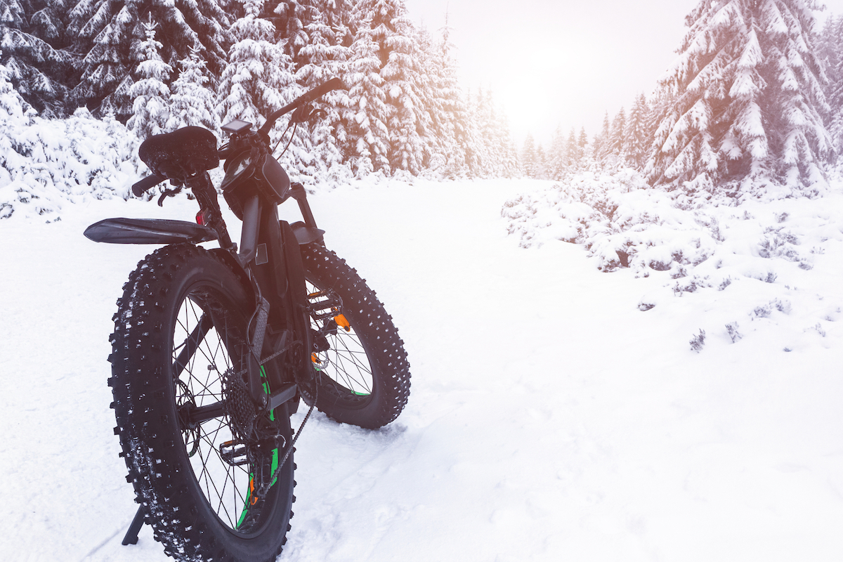 20 Brilliant Things To Do in Kirkenes (+ City Guide!) | fat biking winter Fat bike in the winter forest