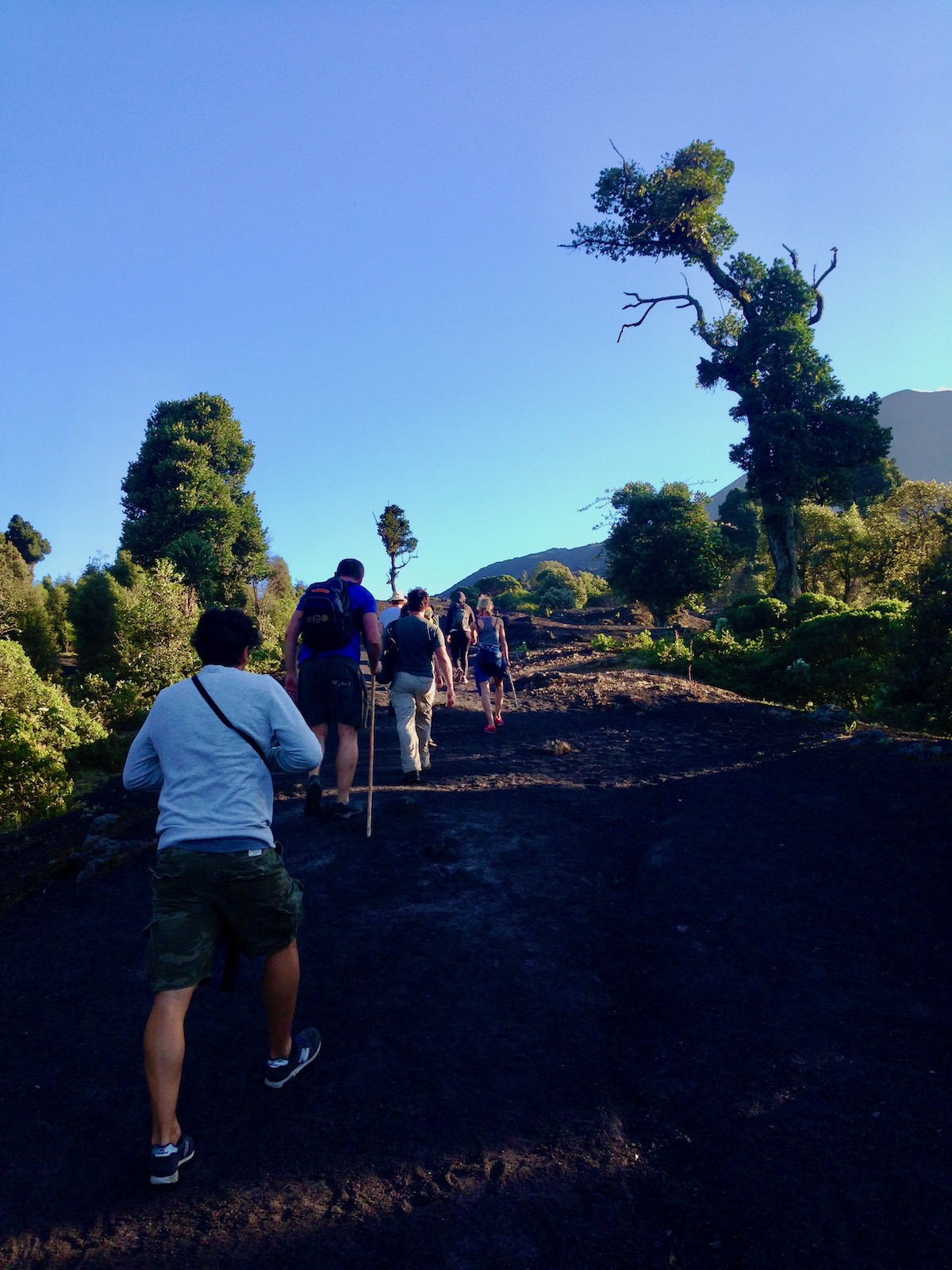 Pacaya Volcano Sunset Hike: An Honest Guide For 2024 | hiking pacaya volcano sunset A team of hikers ascend up a steep incline on a volcano