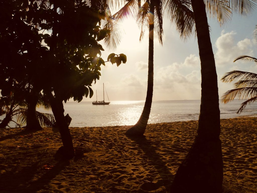 San Blas Islands Travel Guide: Best Things To Do & Logistics | image 1 A view of a ship sailing on the sea from the shores, behind tropical trees on the sand