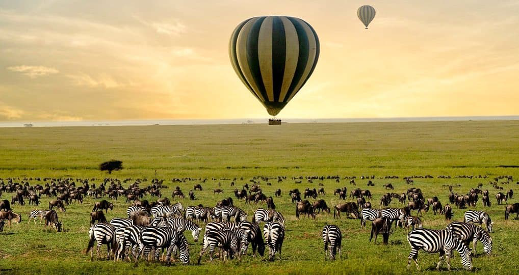 Serengeti Great Wildebeest Migration: A Complete Guide to Nature's Grandest Show | image 44 Serengeti Great Wildebeest Migration: A Complete Guide to Nature’s Grandest Show