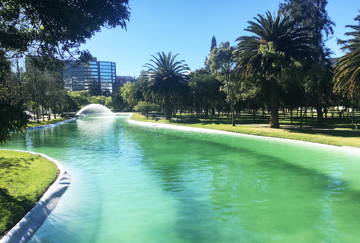 One Week in Quito, Ecuador: 23 Things in 7 Days! | la carolina park quito A lake runs through a green park in Quito, Ecuador.
