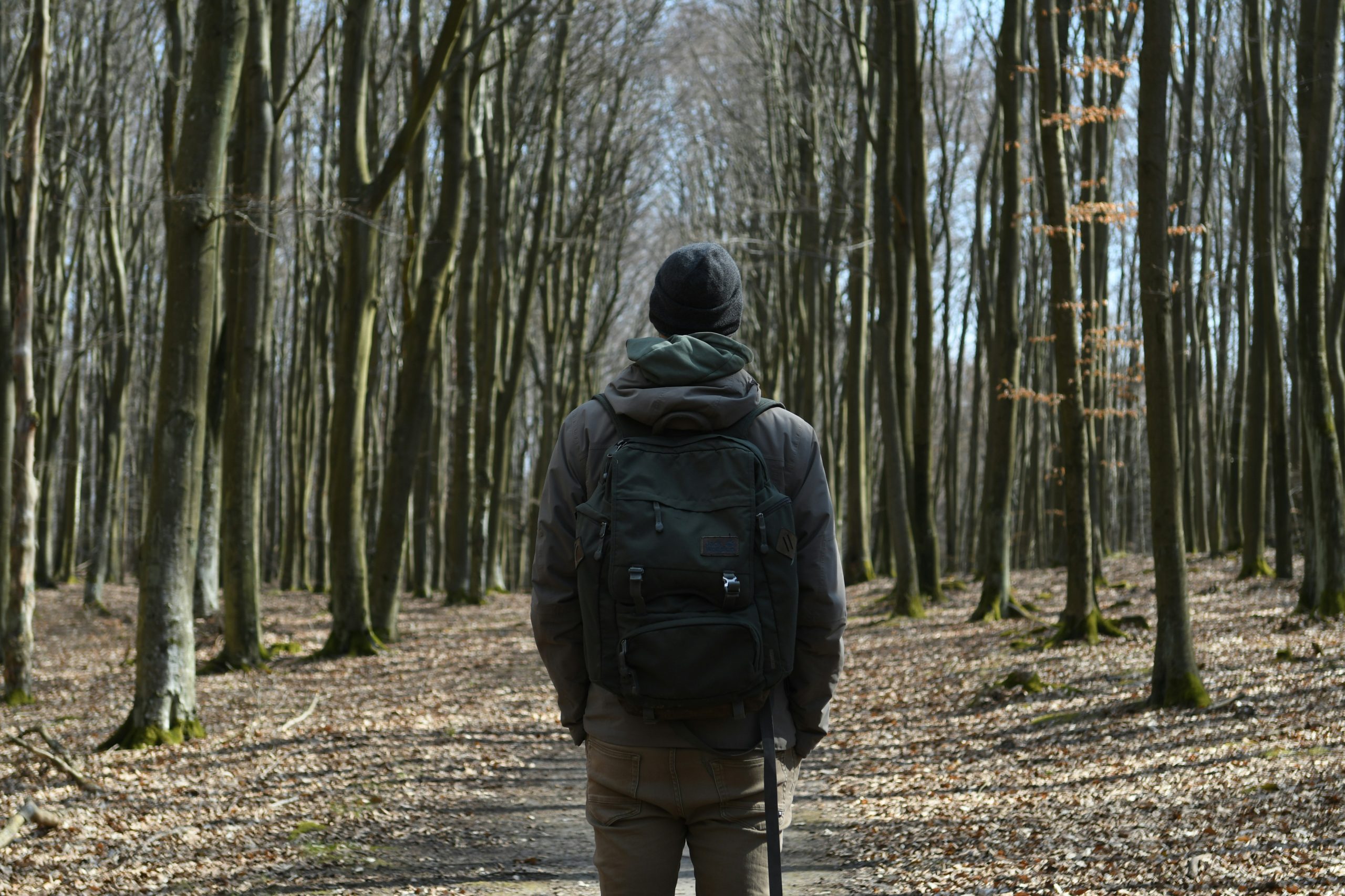 From Survival to Self-Actualization: Personal Growth After Addiction | michal parzuchowski 3lCtcfyKzKM unsplash scaled From Survival to Self-Actualization: Personal Growth After Addiction