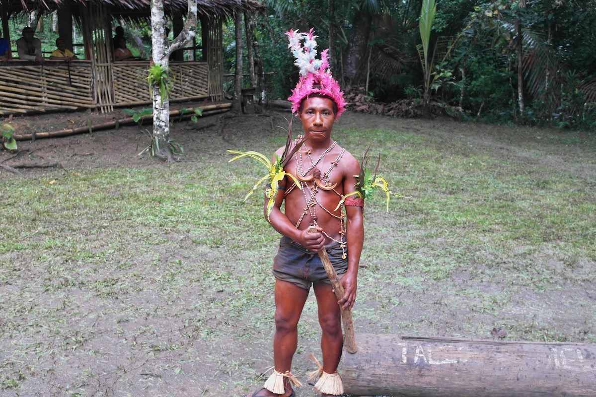 The Tribespeople of Papua New Guinea: A Detailed Guide | papua new guinea man tribe A male member of a Papua New Guinea tribe adorned in traditional attire in the rainforest