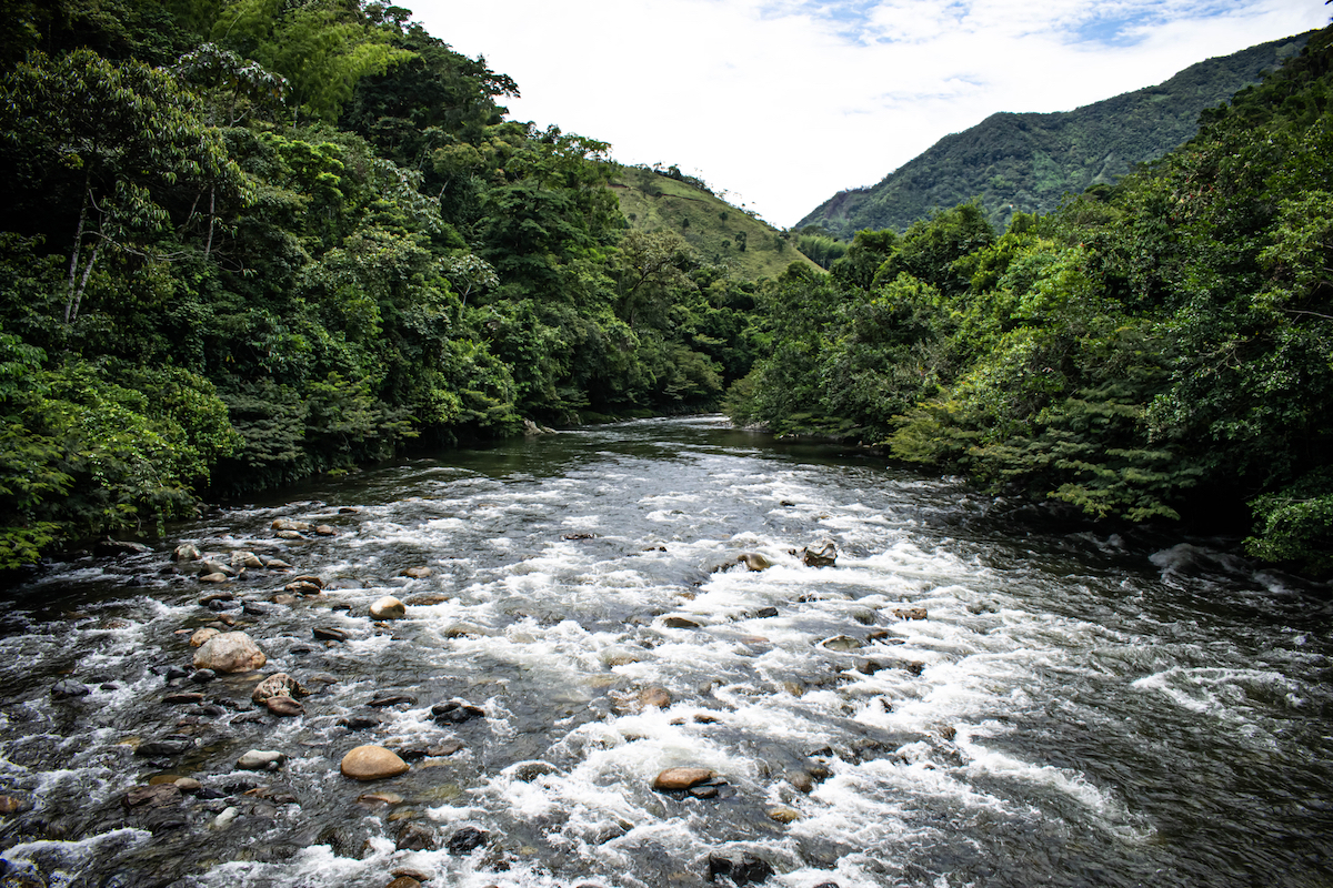 13 Brilliant Weekend & Day Trips From Medellin | river in Cocorna A riverbed flows through lush green trees on either side