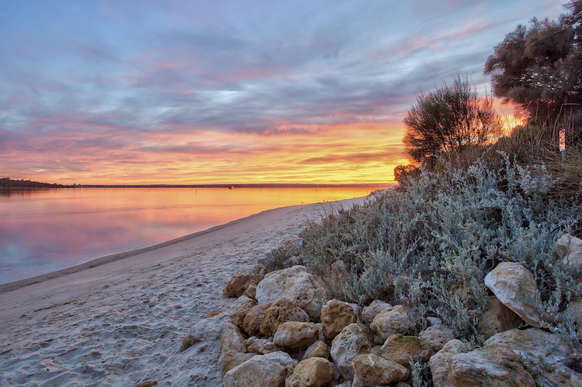 How To Plan The Ultimate Australia Road Trip in 2024 | western australia Fauna surrounding rocks on a beach at sunset.
